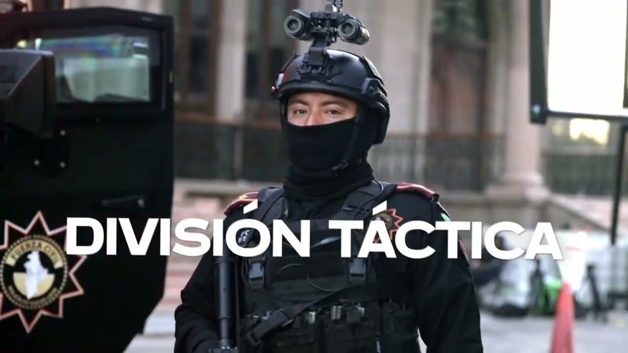 7 Nuevas divisiones de la Nueva Fuerza Civil