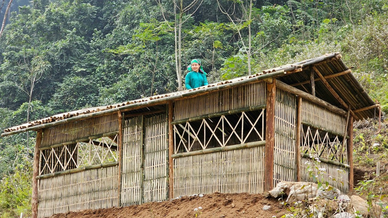 starting a new life, how to build the latest bamboo house in 2024, honest girl