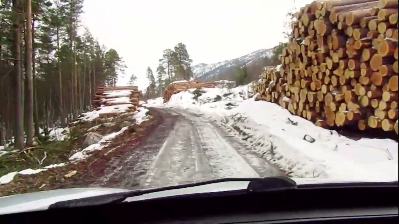 1. Massiv avskoging i Hovet, Hallingdal ~ Vinter 2021/2022 ~ Strømvegen, Hovsvegen