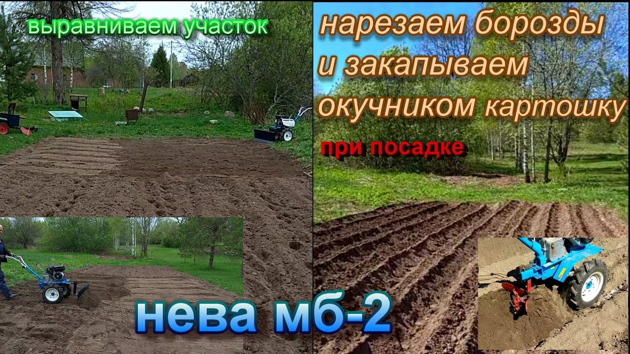 Однорядный окучник на коротком кронштейне.Сажаем картошку. Нева мб-2.Ровняем участок.