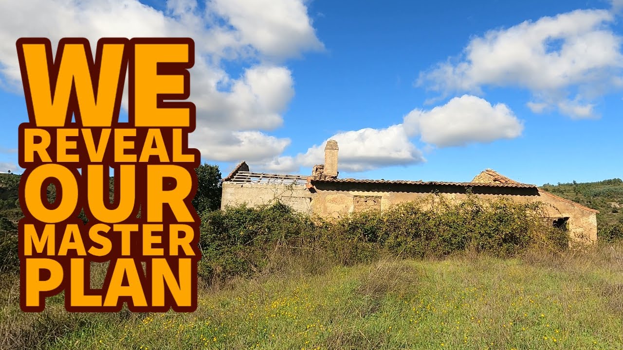 What we plan to do with our abandoned land