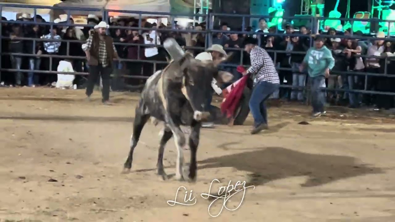Montas de exhibición al estilo del jaripeo ranchero oh bramadero en San Pedro Yolox