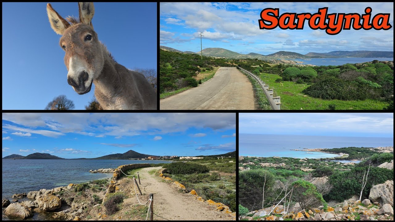 Park Narodowy Asinara, Sardynia