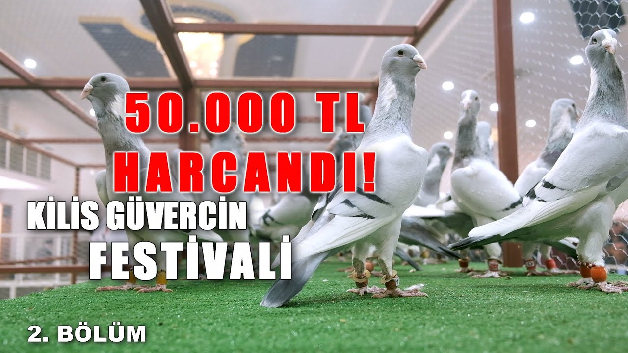 BU FESTİVALE 50.000 TL HARCANDI: KİLİS - 2. BÖLÜM