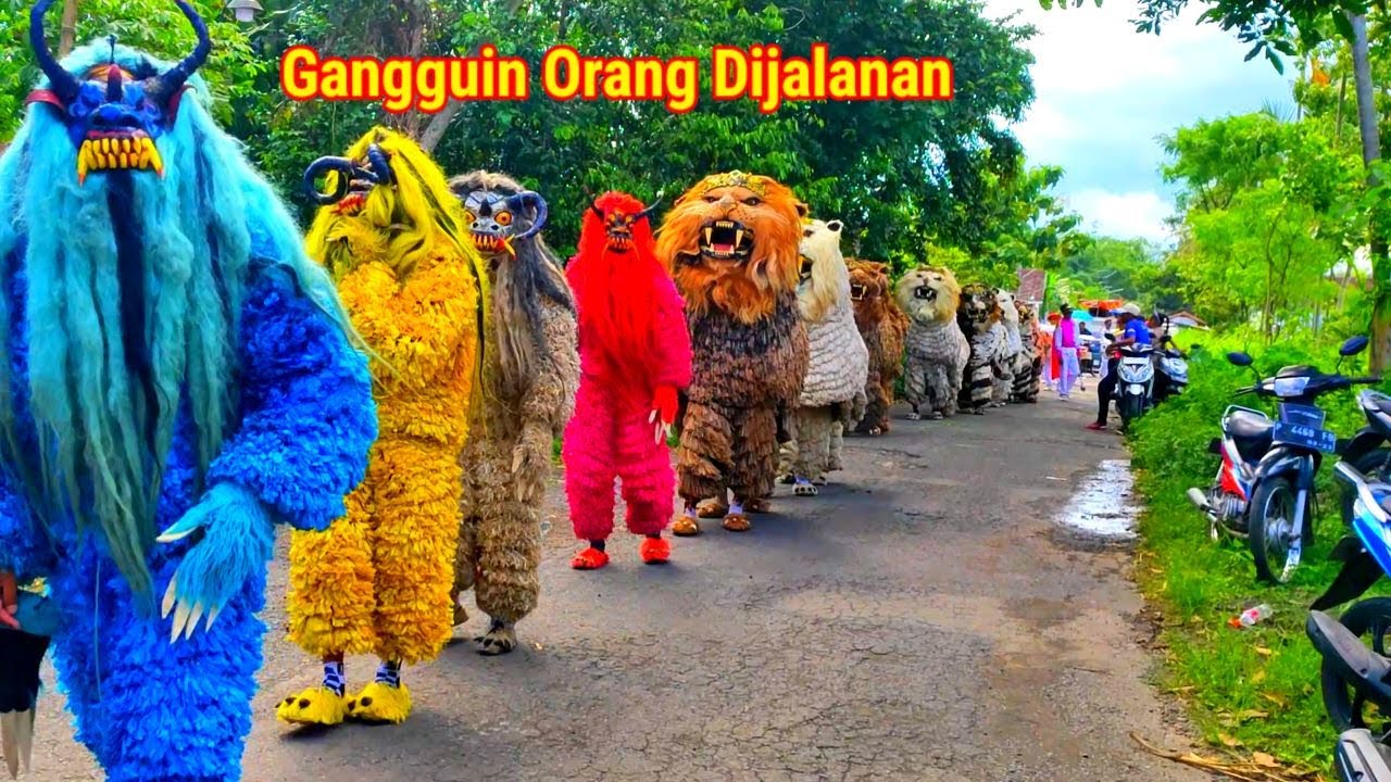 🔴LIVE | can macanan singo raung di undang acara karnaval di lombuk /gangguin orang - orang dijalanan