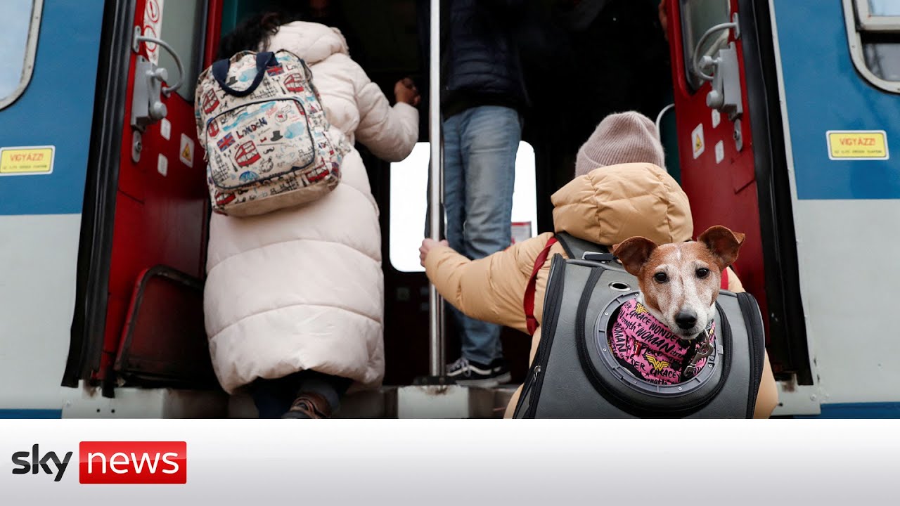 Ukraine Invasion: One million people have fled the country