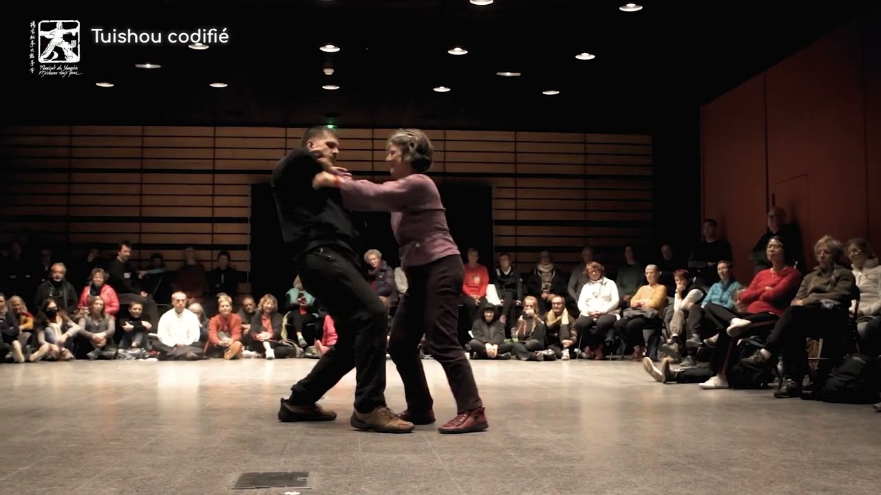 Yangjia Michuan Taiji quan - Tuishou codifié : poussées à deux mains