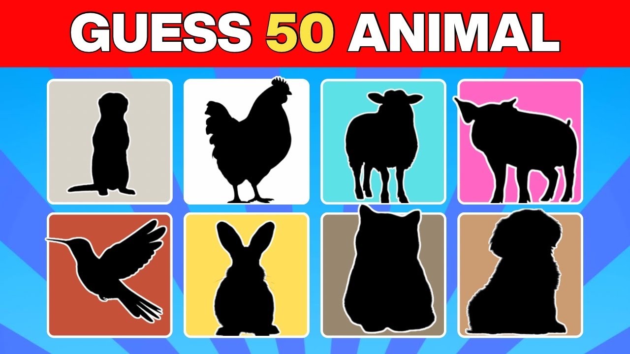 Can You Guess These 50 Animal Silhouettes? 🐾