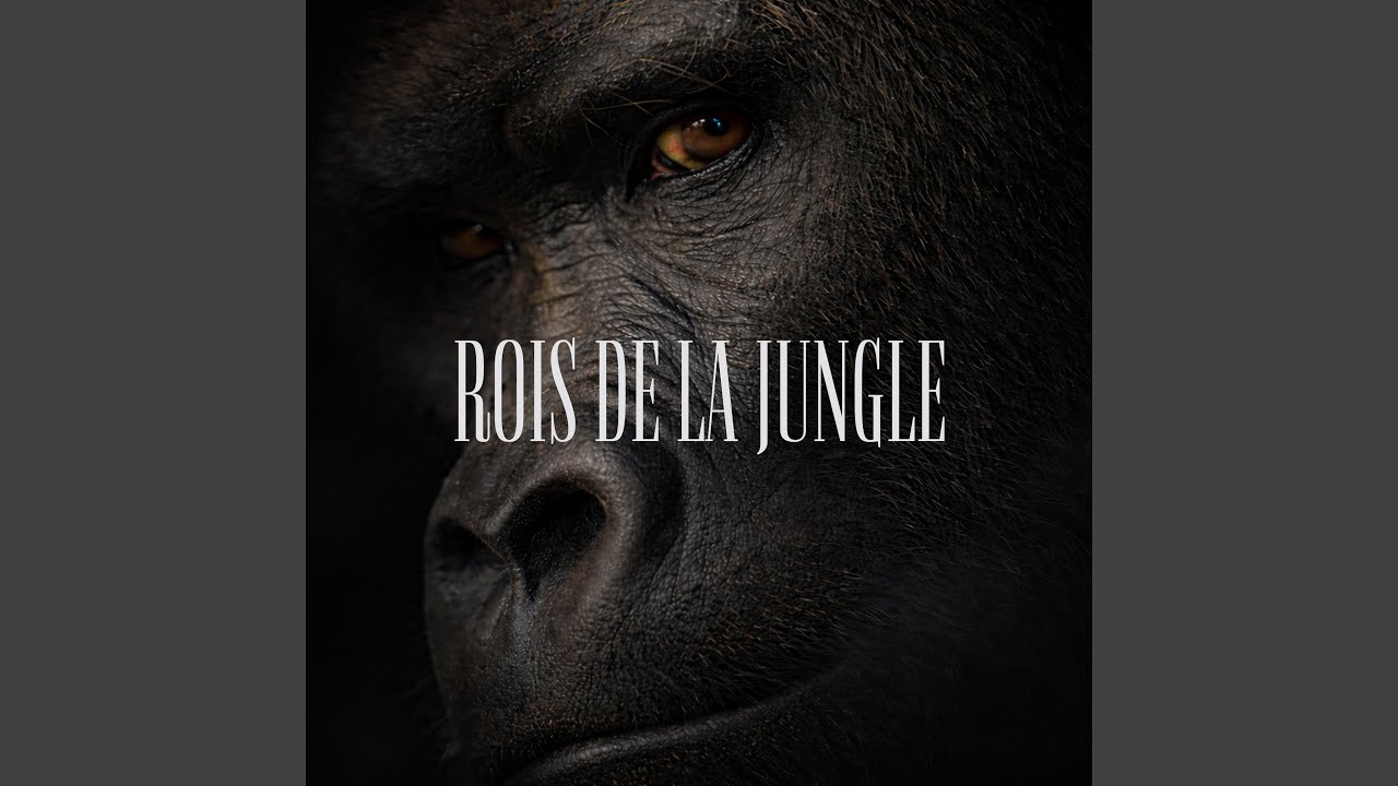 ROIS DE LA JUNGLE
