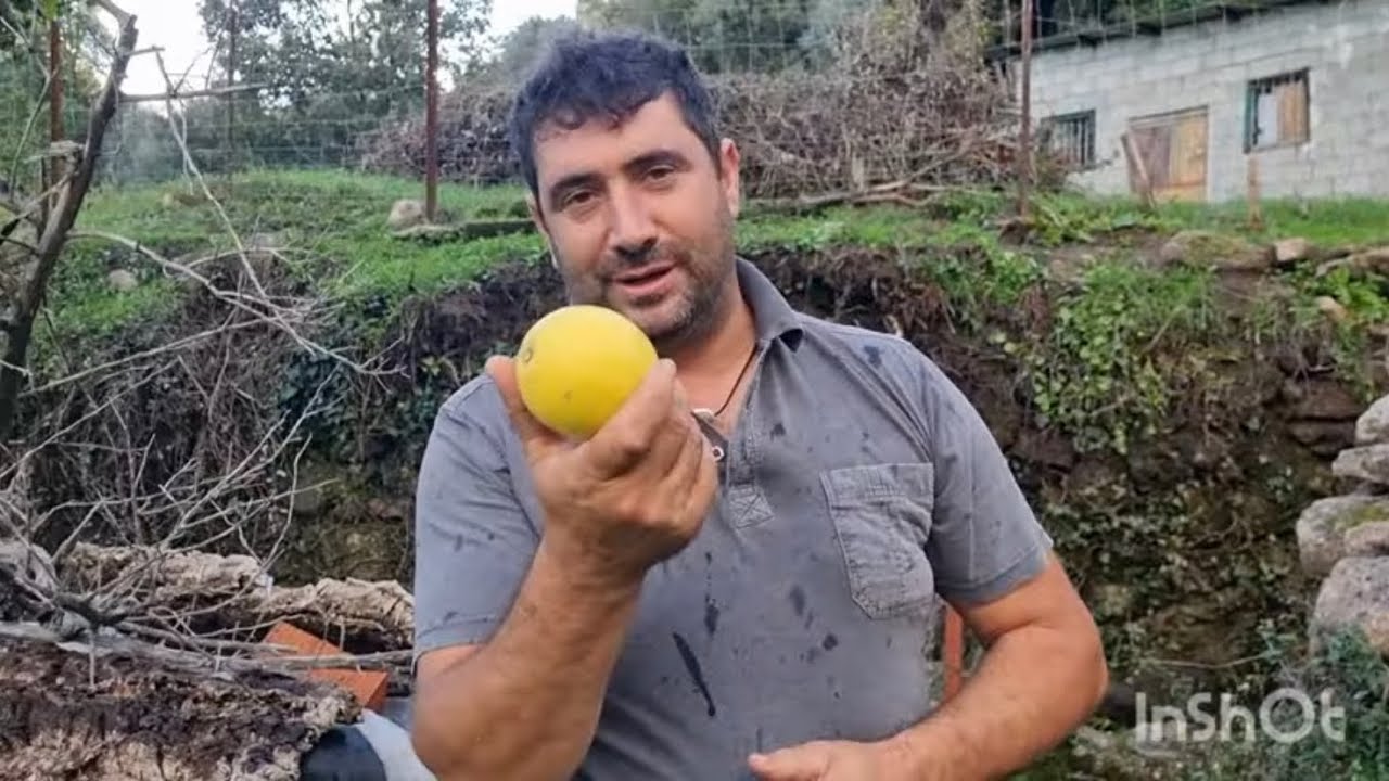 Autóctonos voy a coger unos cuantos de productos otoñales 100% ecologico.