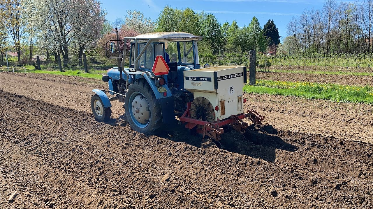 Sadba brambor 2025 / Zetor 3011 / Agrozet SA2-074     / #zetor3011 #sadbabrambor #2025