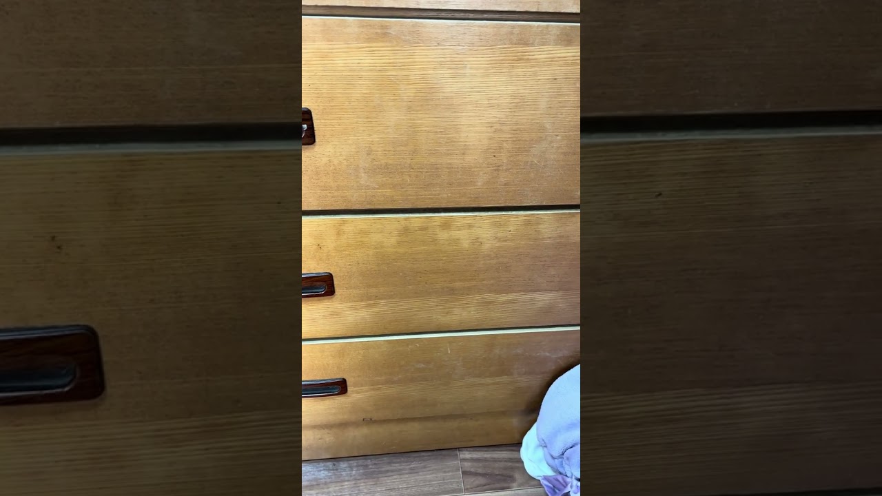 HYさんの366日を歌いました！
