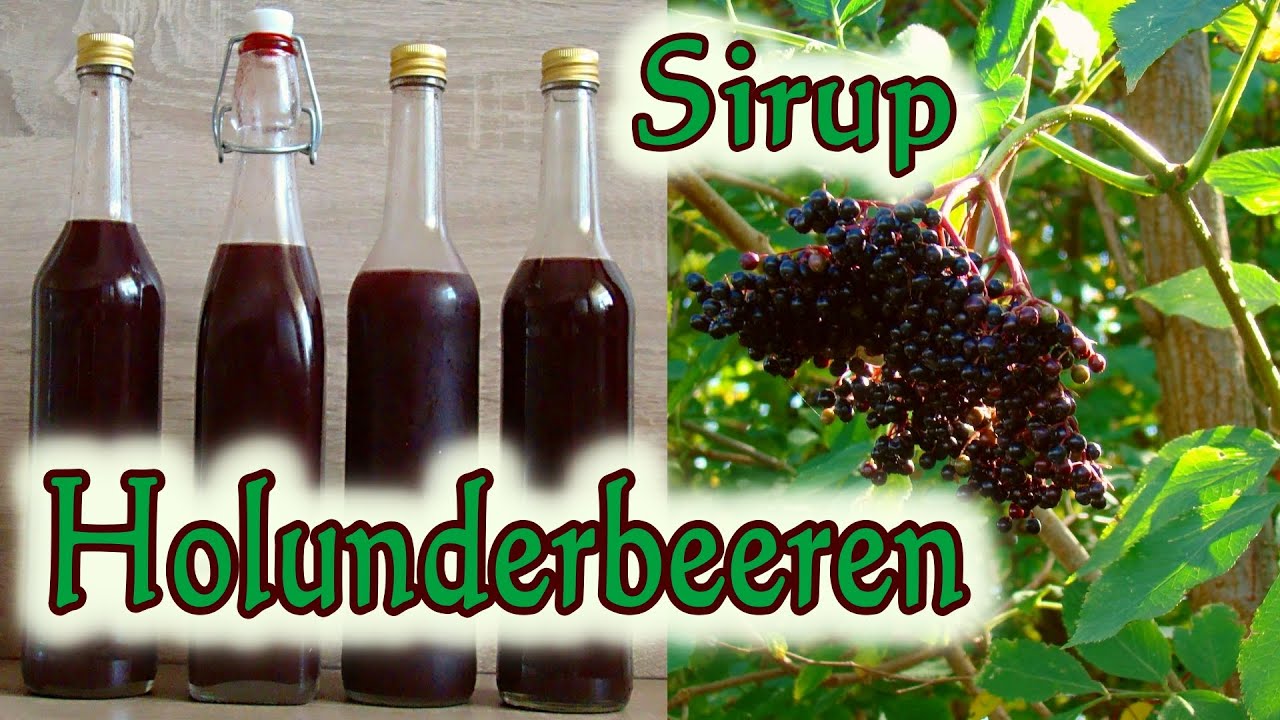 Holunderbeeren Sirup Rezept | Holunderbeerensaft  | Holunderbeerensirup |