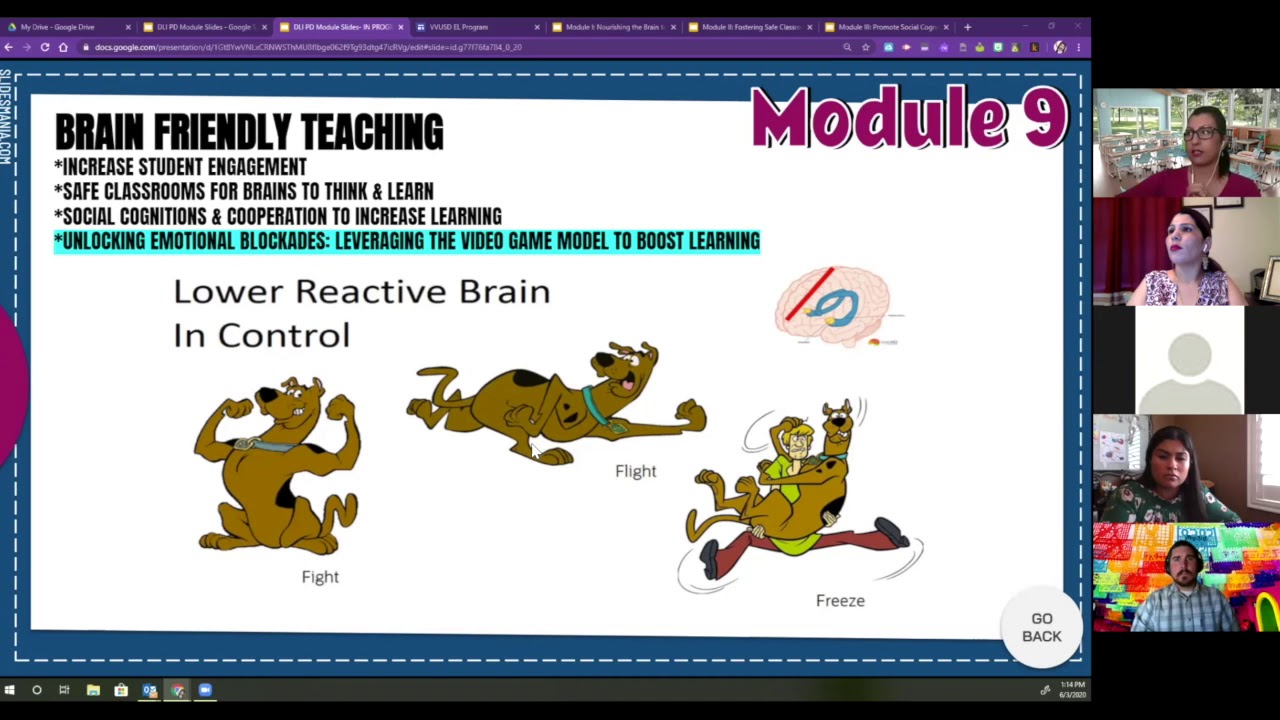 DLI PD Module 9: Brain Friendly Teaching 6-3-2020