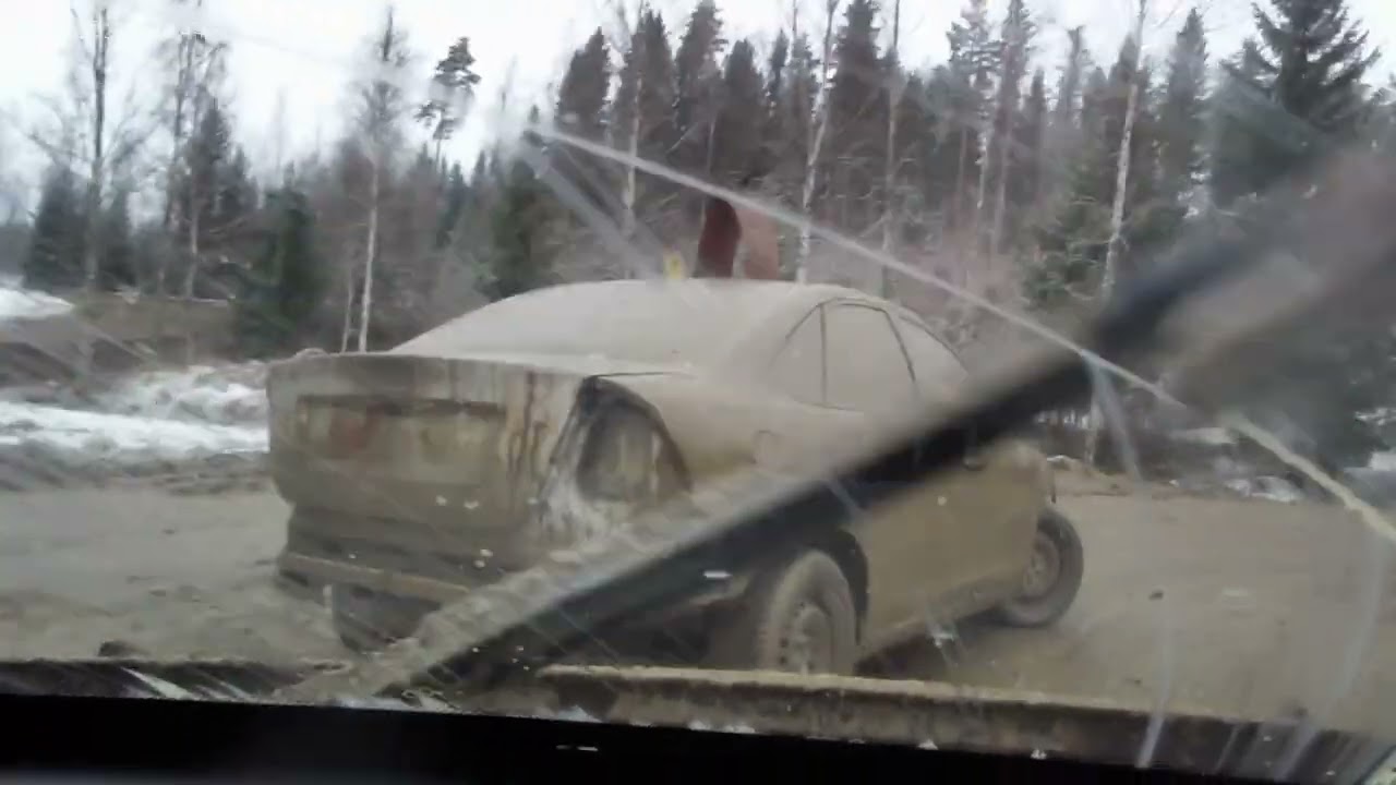 Winterance 1.3.2025 Asta