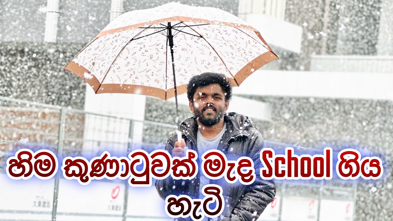 ජපානයේ මම ඉගෙනගන්න පාසල ( My Japanese Language School In Japan )