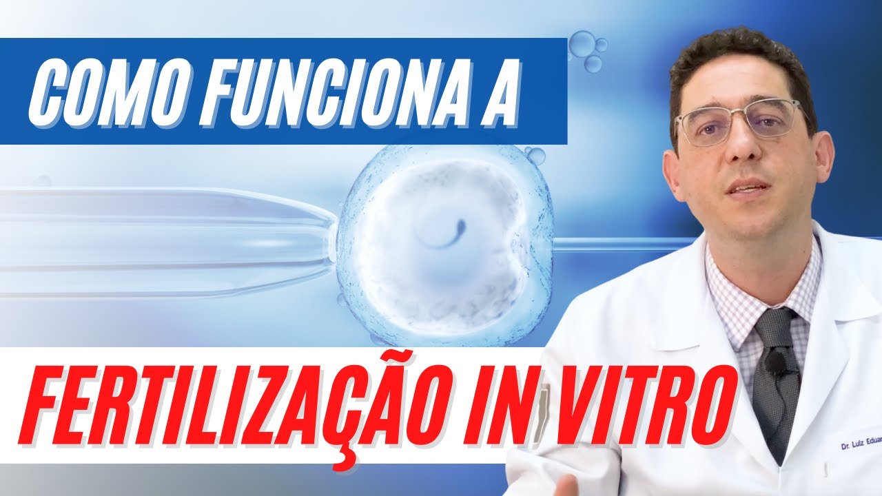 Como &eacute; feito o processo de Fertiliza&ccedil;&atilde;o In Vitro?