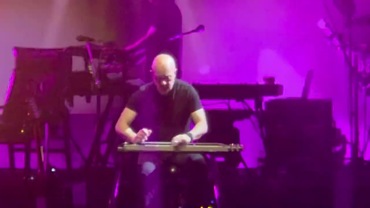 Brit Floyd lap steel