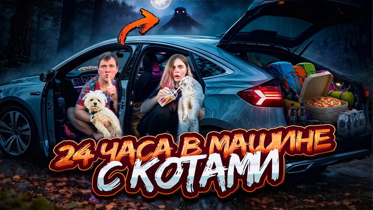 24 ЧАСА В МАШИНЕ С КЕВИНОМ И БИЛЛИ ЧЕЛЛЕНДЖ | ЗА НАМИ СЛЕДЯТ? РАЗДЕЛИЛИ МАШИНУ НА КОМНАТЫ