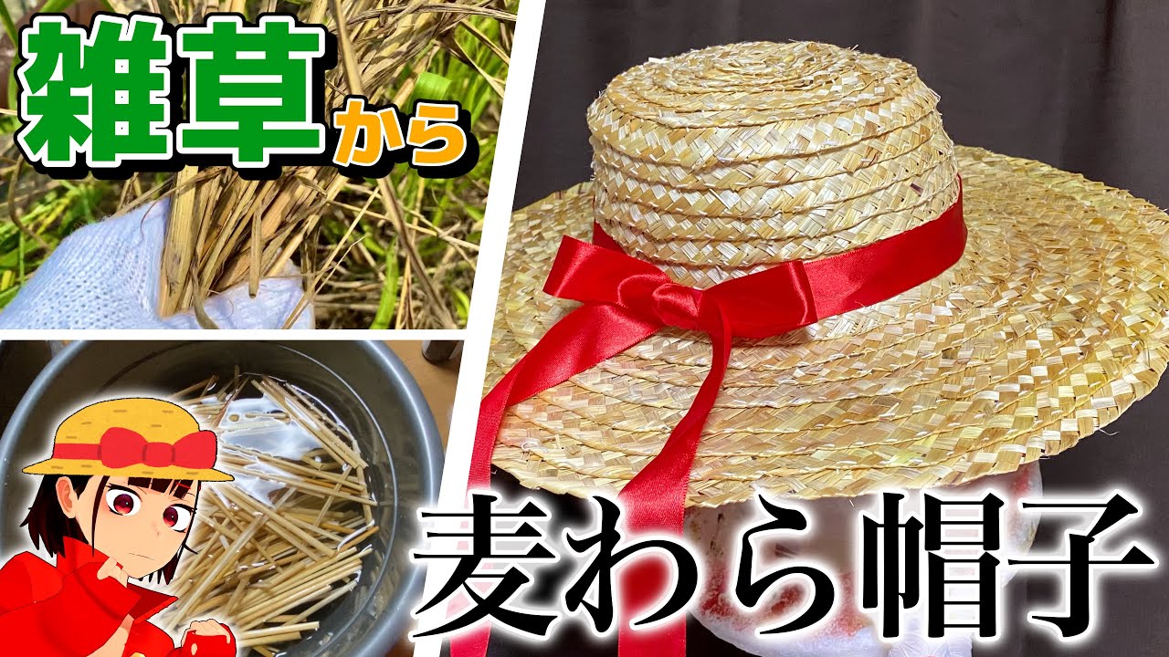 【夏】雑草で麦わら帽子作ってみた【セイバンモロコシ】