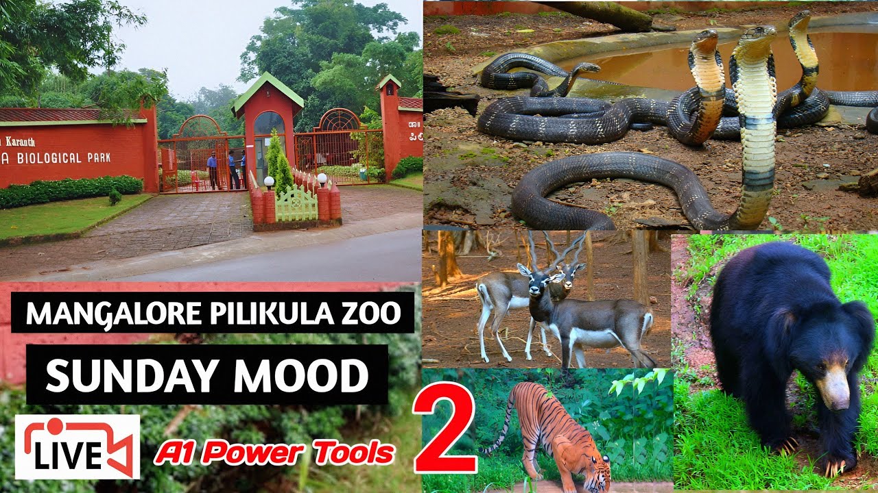 MANGALORE PILIKULA ZOO SUNDAY MOOD A1 Power Tools 💥 Part 2