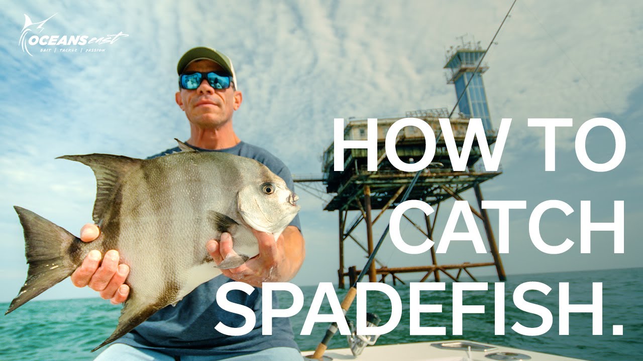 Tutorial: How to catch a SPADEFISH (The BEST TACTIC, ROD, REEL, BAIT & MORE)