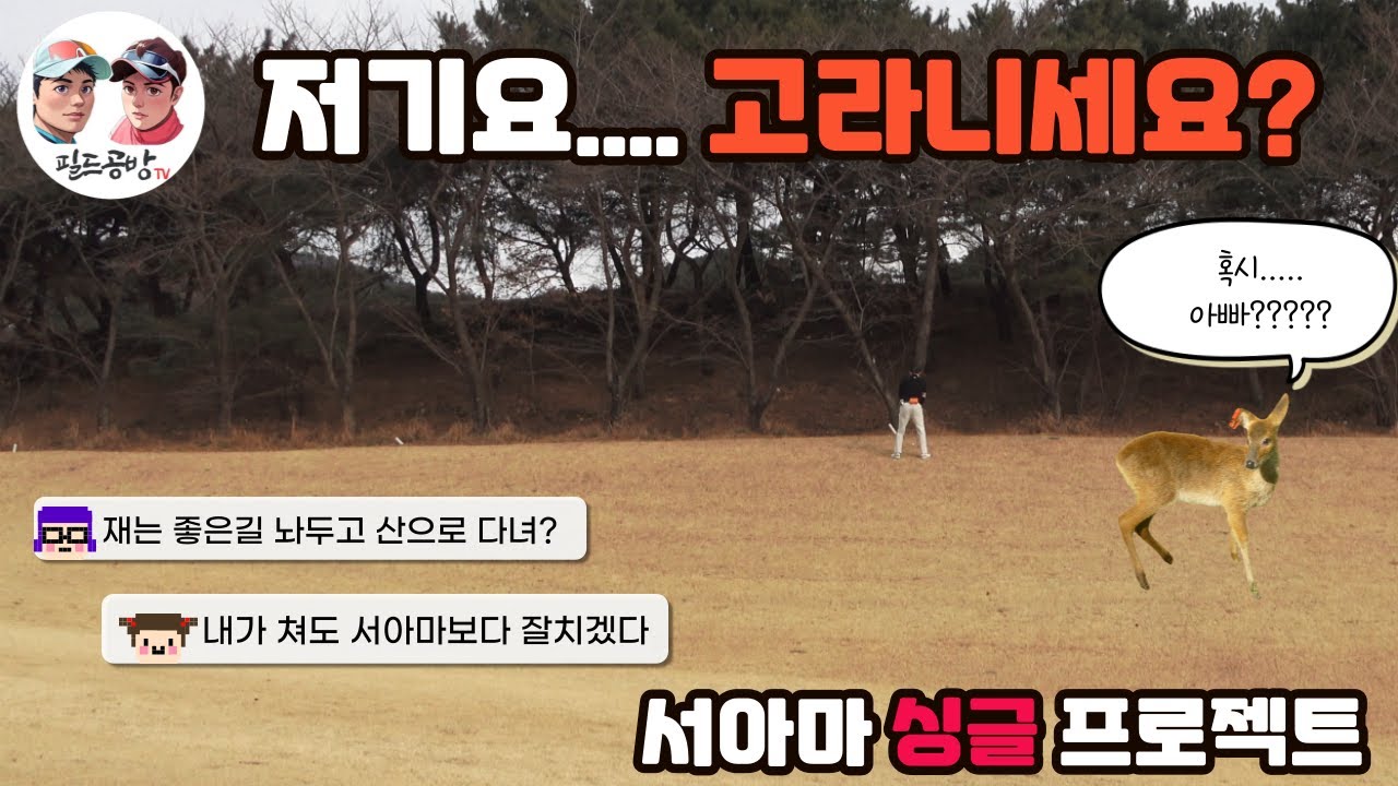 4K[서아마 싱글프로젝트] 부곡CC |트러블샷은 서아마가 다보여줍니다|짠한~아마추어골프라운딩