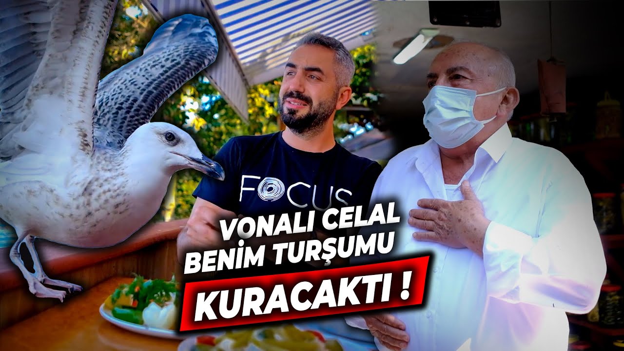 VONALI CELAL TURŞUMU KURDU | VONALI CELAL PERŞEMBE
