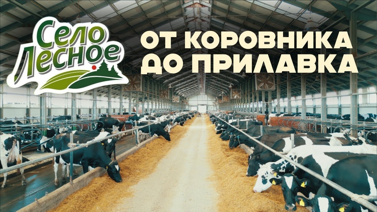 Молочное производство полного цикла торговой марки 