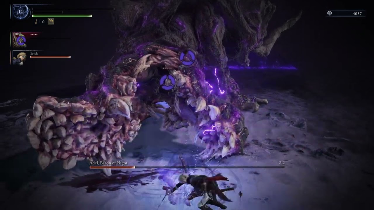 Funny Elden Ring Nightreign Bug