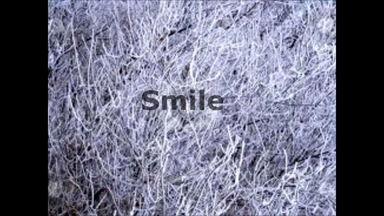 Frostbite Oh land Lyric Video