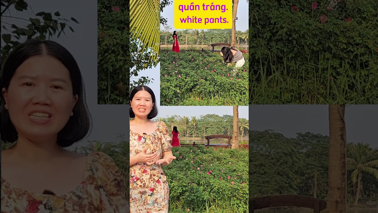 Vietnamese description// Learn Vietnamese for beginners// Easy Vietnamese
