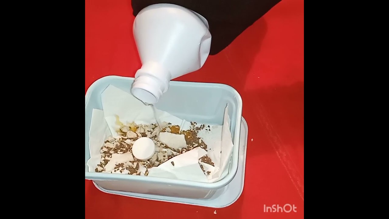 شرويطة او خرقة مغربية مطرطقة تزعزع لبوه الرأس والمشاعير ديالو من جيهتك. 0694014018