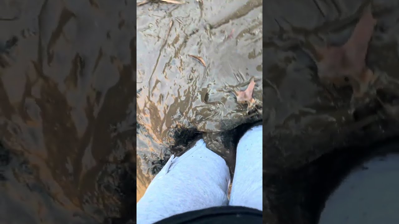 Riding boots stuck in thick mud 4