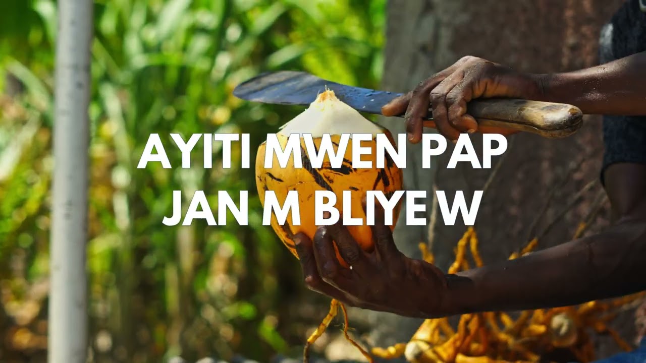 Yani Martelly - Pap sa bliye (Lyric Video)