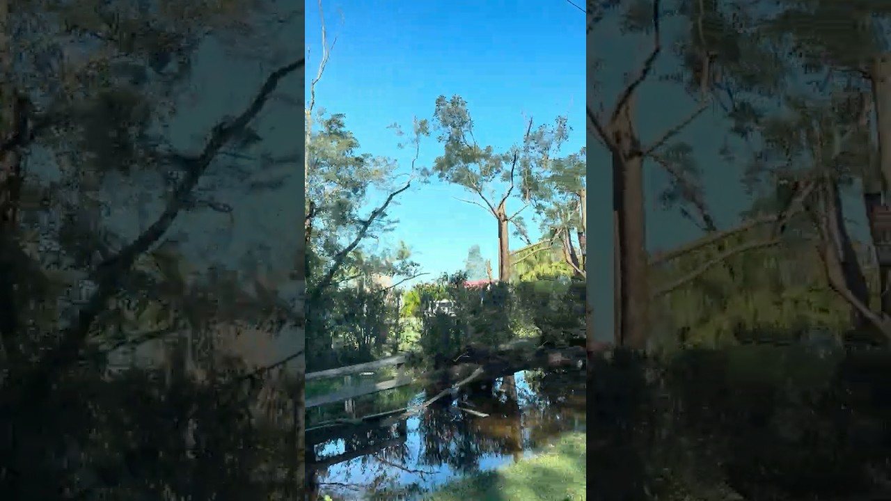 Receding waters 