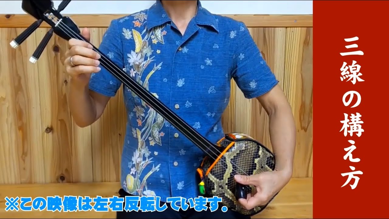 【三線講座】構え方・弾き方の基本 (左右反転で分かりやすい！)