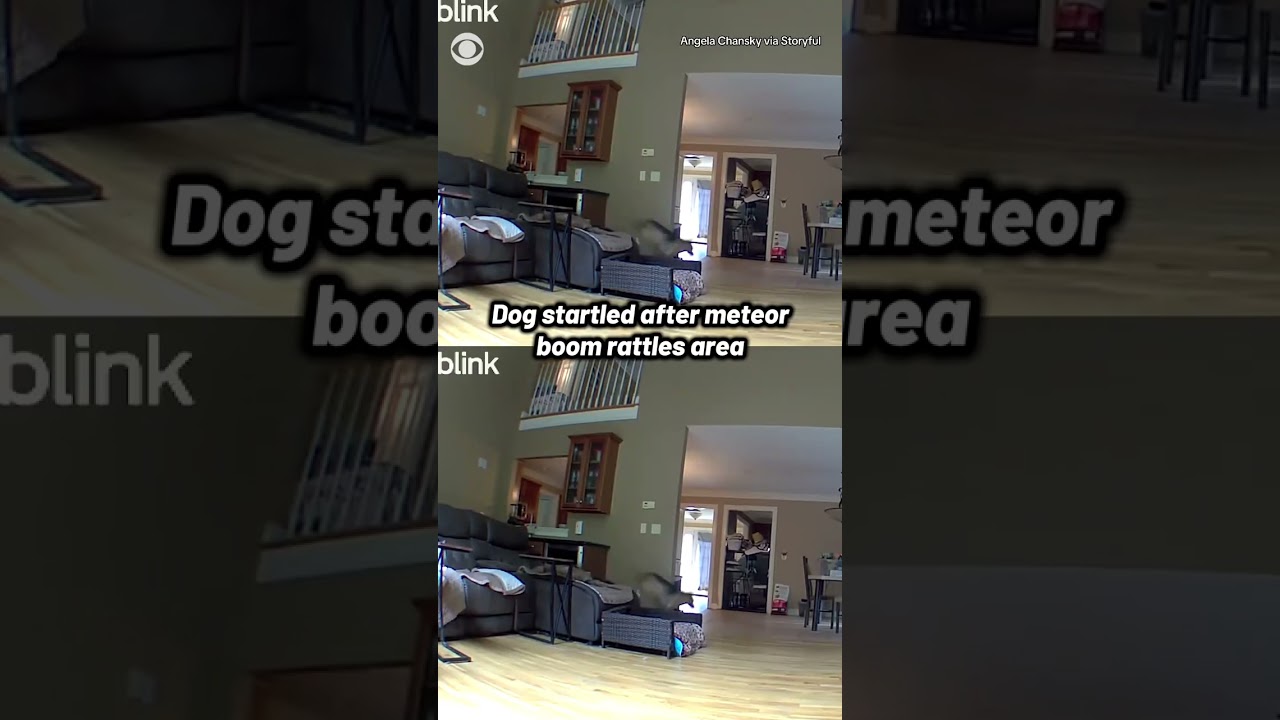 Dog startled as boom from meteor rattles Massachusetts home #shorts
