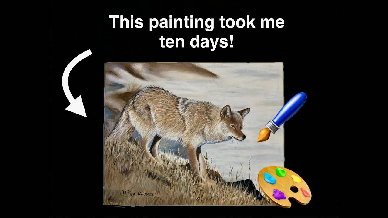 Realistic Coyote Painting