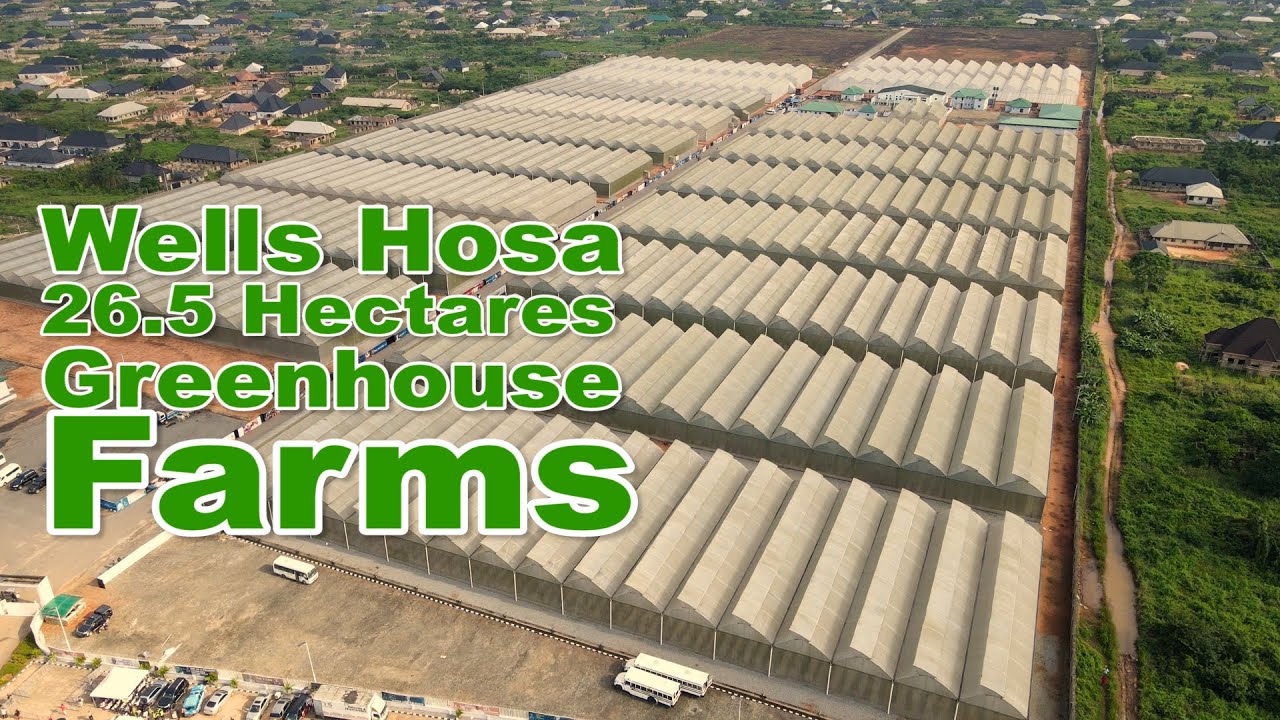 Wells Hosa 26.5 Hectares Greenhouse Farms