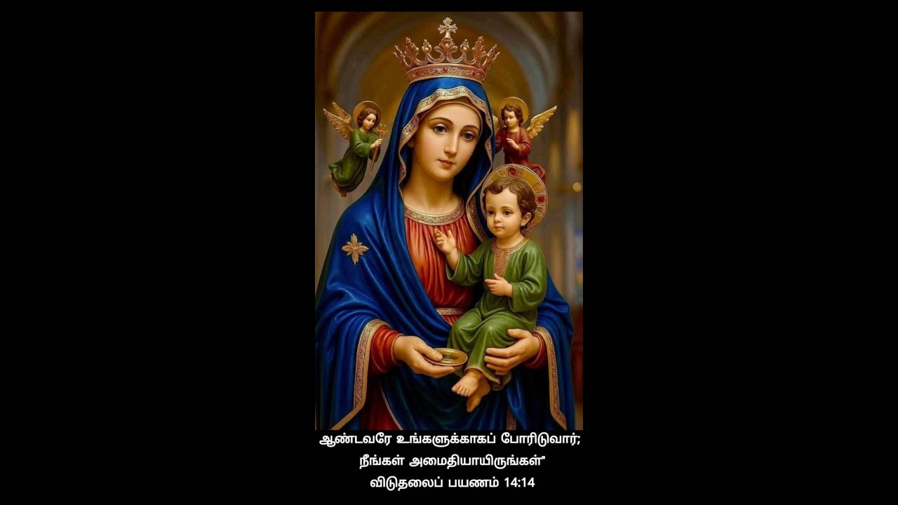 🔴25 Feb 26 ✠ Holy Redeemer's Basilica ✠ 3576வது வார இடைவிடா சகாய அன்னையின் நவநாள் திருப்பலி ,