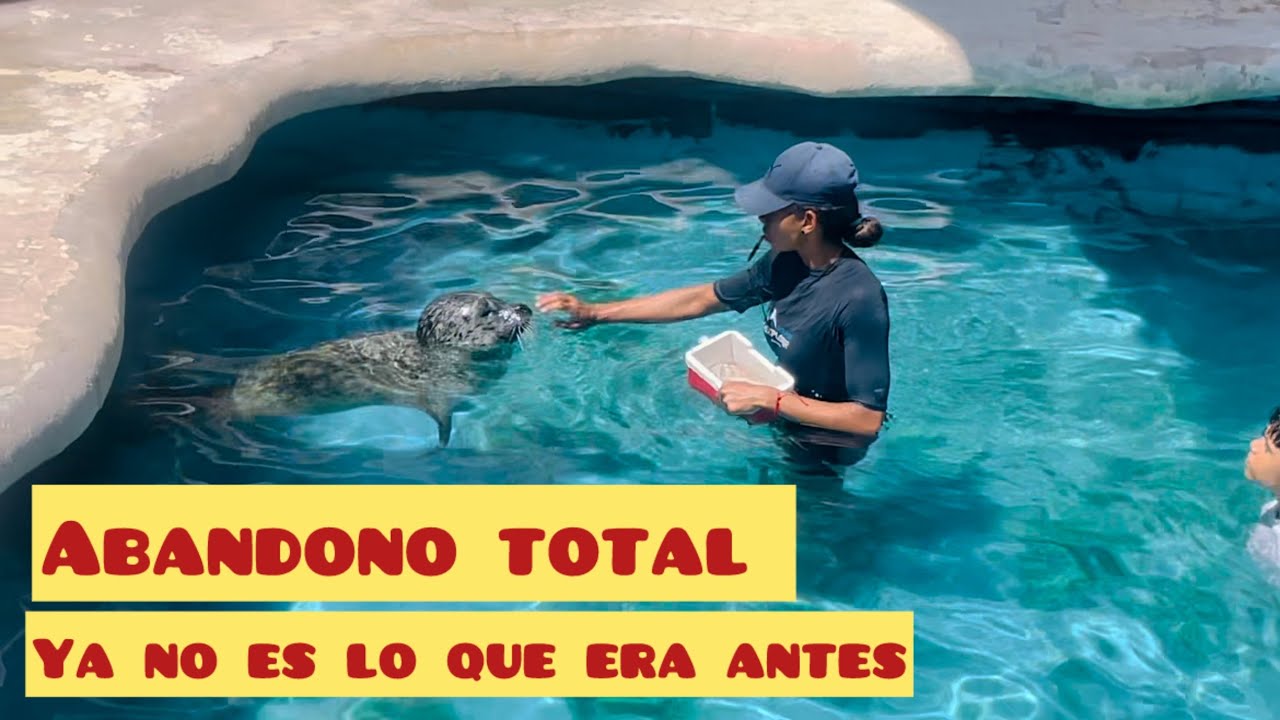 ASI ESTA EL ACUARIO NACIONAL DE CUBA 2025 🇨🇺:ME SORPRENDIÓ LO QUE VI 