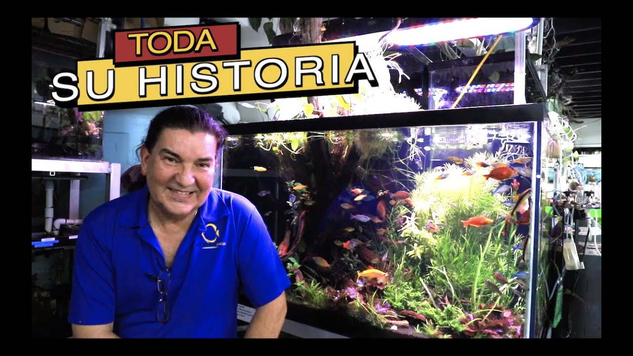 EL REPRODUCTOR DE PECES DISCO MAS FAMOSO DEL MUNDO||||||🐠🐠