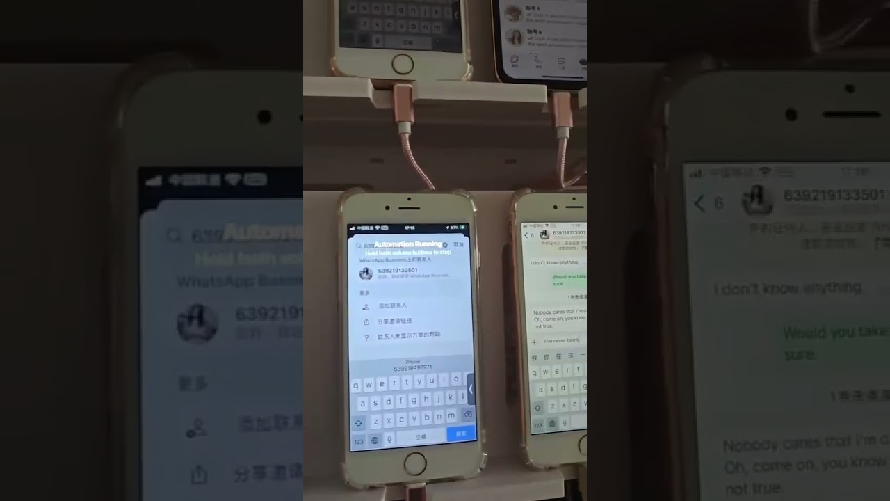 whatsapp群发、ws产号技术、ws营销，今天产号隔天就可以打80-150条，全自动群发，可到司考察或者远程操作 微信wz13253 TG@wz13253 #whatsapp #ws营销