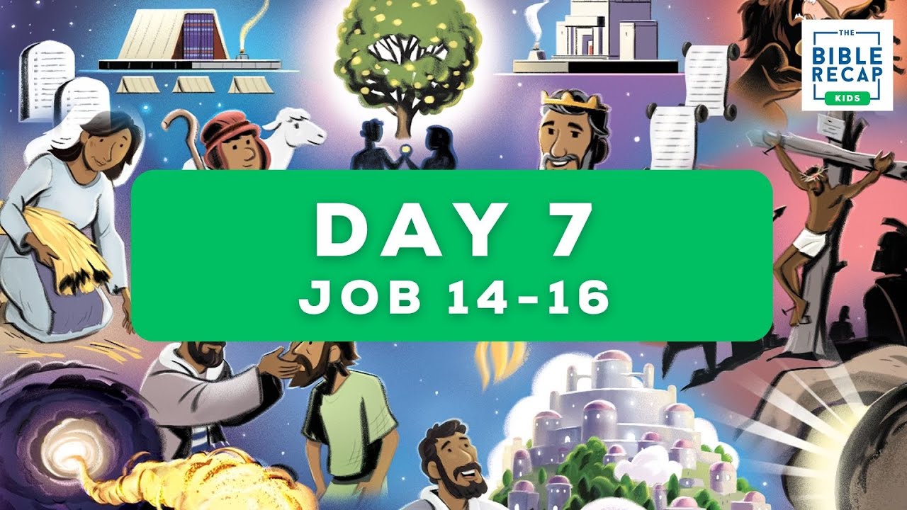 Day 7 (Job 14-16)