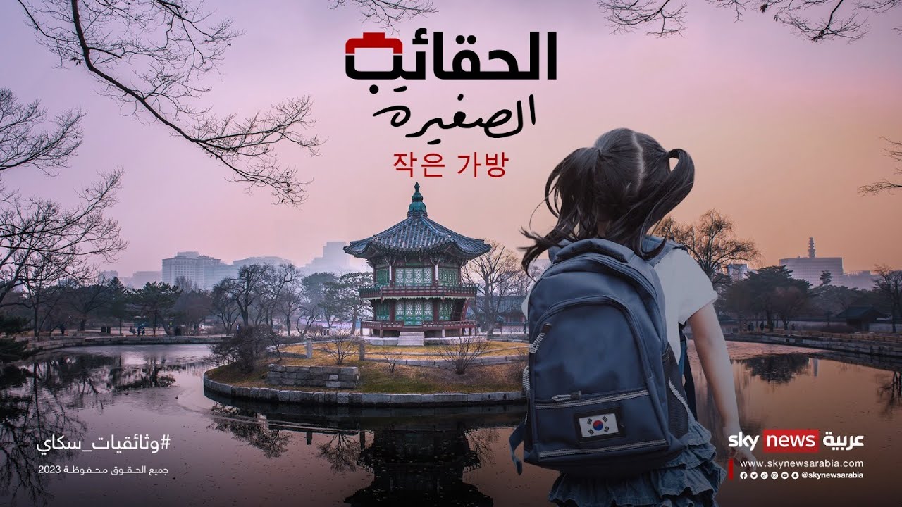 الحقائب الصغيرة.. سر النجاح في كوريا الجنوبية | #وثائقيات سكاي