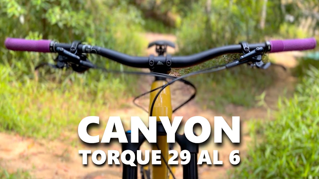 2022 Canyon Torque 29 AL 6 | Bike Check
