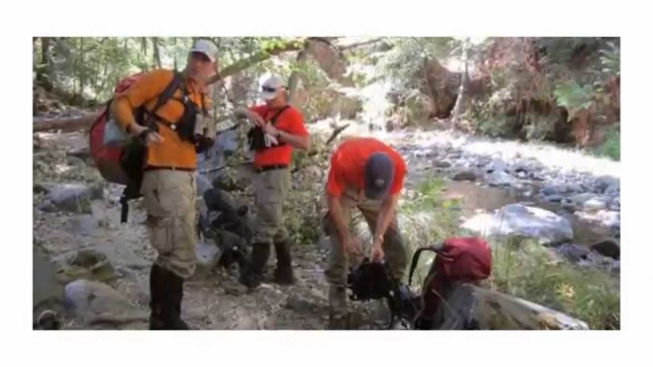 Type 1 CoCo SAR Nelson Search -  Monterey County Aug. 2014