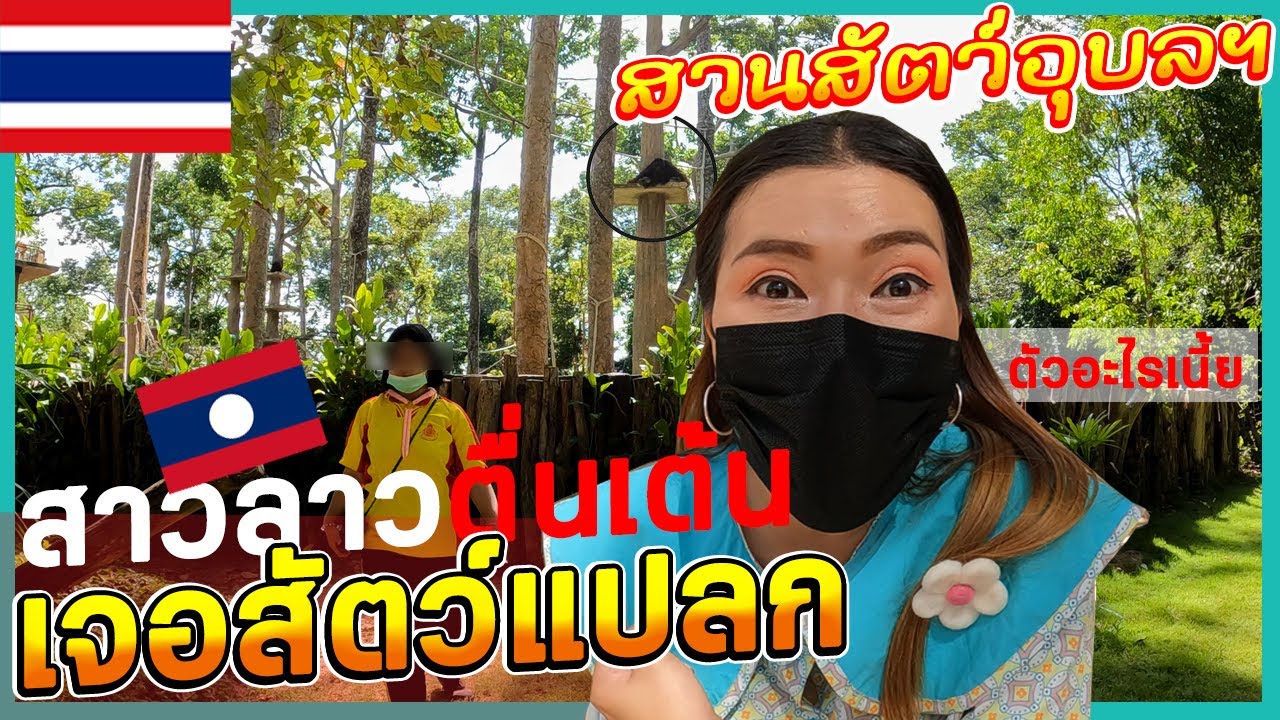 🇹🇭🇱🇦EP.3สาวลาวตื่นเต้นเจอสัตว์แปลก ที่สวนสัตว์อุบลราชธานีมีแบบนี้ด้วยเหรอ?, Ubon Ratchathani Zoo