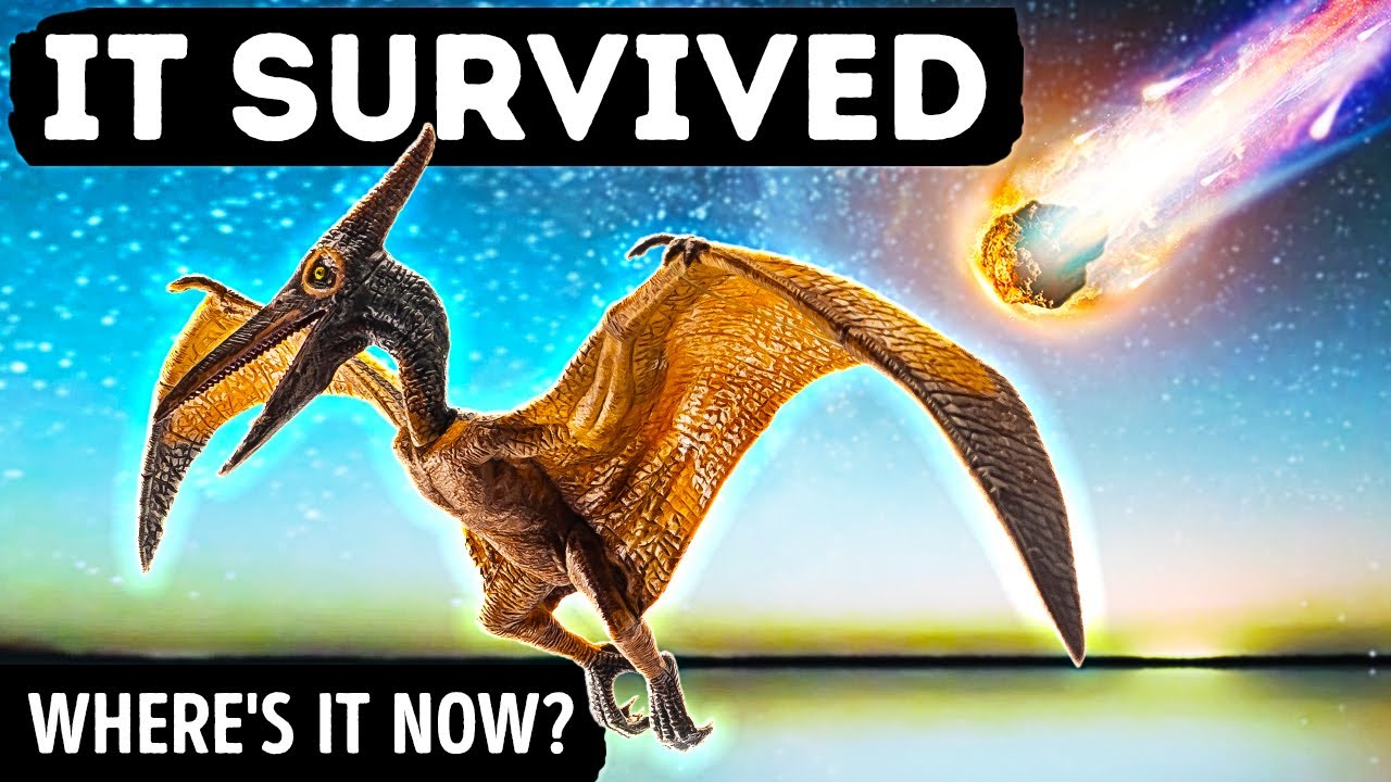 Flying Dinosaurs Survived, Here's Where They Are Gone